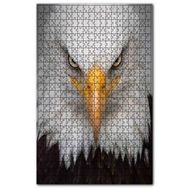 Cakapuzzle Akbaşlı Amerikan Kartalı Ön Görünüş Puzzle