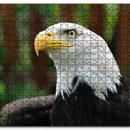 Cakapuzzle Akbaşlı Kartal Yakın Plan Mdf 120 Parça Puzzle