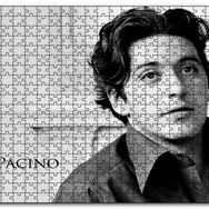 Cakapuzzle Al pacino Gençlik Resmi Mdf 255 Parça Puzzle