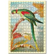 Cakapuzzle Alexandrine Halka Muhabbet Kuşu Mdf 500 Parça Puzzle