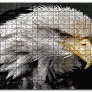 Cakapuzzle Amerikan Kartalı Makro Çekim Mdf 1000 Parça Puzzle