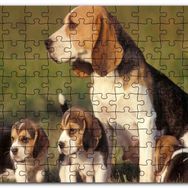 Cakapuzzle Anne Beagle ve Sevimli Yavruları Mdf 120 Parça Puzzle