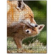 Cakapuzzle Anne ve Yavru Tilki Sevgi 500 Parça Puzzle