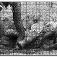 Cakapuzzle Annesiyle Çamurda Oynayan Yavru Fil Siyah Beyaz Mdf 255 Parça Puzzle