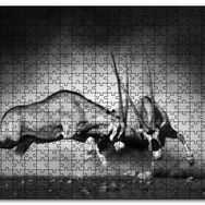 Cakapuzzle Antilop Kavgası Mdf 120 Parça Puzzle