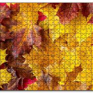 Cakapuzzle Arı Dökülmüş Sonbahar Yaprakları Yakın Çekim Mdf 1000 Parça Puzzle