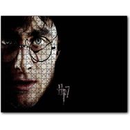 Cakapuzzle Arry Potter Yüz Gözlük Siyah Zemin Görseli Mdf 255 Parça Puzzle