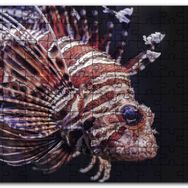 Cakapuzzle Aslan Balığı Yakın Çekim Karanlık Arkaplan Mdf 120 Parça Puzzle