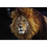 Cakapuzzle Aslan Kral 500 Parça Puzzle
