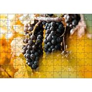 Cakapuzzle Asma Dalında Kara Üzümler Mdf 120 Parça Puzzle