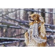 Cakapuzzle Atkılı Köpek 1000 Parça Puzzle