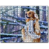 Cakapuzzle Atkılı Köpek 255 Parça Puzzle