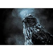 Cakapuzzle Atmaca Yakın Çekim Mdf 1000 Parça Puzzle