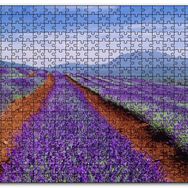 Cakapuzzle Avustralya Tazmanya Lavanta Tarlaları Mdf 1000 Parça Puzzle