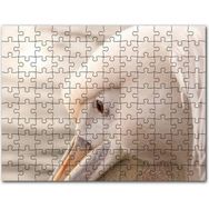 Cakapuzzle Balık Gözlü Kedi Karikatürize 120 Parça Puzzle