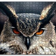 Cakapuzzle Baykuş Kalın Kaşlar Yakın Çekim Mdf 120 Parça Puzzle