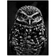 Cakapuzzle Baykuş Siyah Beyaz Fotoğraf 500 Parça Puzzle