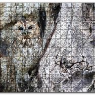 Cakapuzzle Baykuş ve Ağaçla Muhteşem Kamuflajı Mdf 255 Parça Puzzle