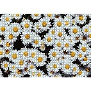 Cakapuzzle Bembeyaz Papatyalar Mdf 1000 Parça Puzzle