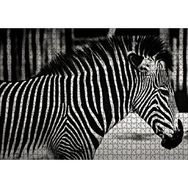 Cakapuzzle Benzersiz Deseniyle Zebra Yakın Çekim 120 Parça Ahşap Puzzle