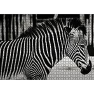Cakapuzzle Benzersiz Deseniyle Zebra Yakın Çekim Mdf 1000 Parça Puzzle