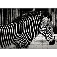 Cakapuzzle Benzersiz Deseniyle Zebra Yakın Çekim Mdf 120 Parça Puzzle