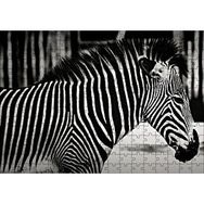 Cakapuzzle Benzersiz Deseniyle Zebra Yakın Çekim Mdf 255 Parça Puzzle