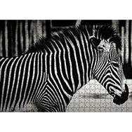Cakapuzzle Benzersiz Deseniyle Zebra Yakın Çekim Mdf 500 Parça Puzzle
