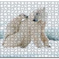Cakapuzzle Beyaz Ayı Ailesi Kutup Ahşap 1000 Parça Puzzle