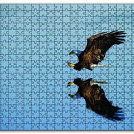 Cakapuzzle Beyaz Başlı Kartal Yansıma Mdf 120 Parça Puzzle