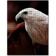 Cakapuzzle Beyaz Başlı Şahin Yakın Plan Ahşap 500 Parça Puzzle