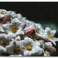 Cakapuzzle Beyaz Çiçeklerin Arasındaki Asi Pembe Mdf 120 Parça Puzzle