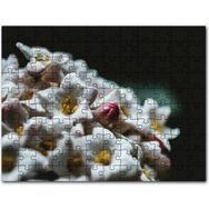 Cakapuzzle Beyaz Çiçeklerin Arasındaki Asi Pembe Mdf 255 Parça Puzzle