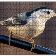 Cakapuzzle Beyaz Göğüslü Sıvacı Kuşu Görseli Mdf 255 Parça Puzzle