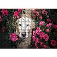 Cakapuzzle Beyaz Golden Retriever Çiçekler Arasında Mdf 1000 Parça Puzzle