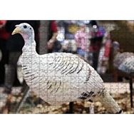 Cakapuzzle Beyaz Hindi Biblo 255 Parça Puzzle