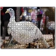 Cakapuzzle Beyaz Hindi Biblo 500 Parça Puzzle
