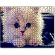 Cakapuzzle Beyaz Kedi 255 Parça Puzzle