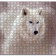 Cakapuzzle Beyaz Kurt Puslu Zemin Görseli Mdf 120 Parça Puzzle