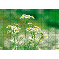 Cakapuzzle Beyaz Papatyalar Flu Arkaplan 120 Parça Ahşap Puzzle
