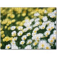 Cakapuzzle Beyaz Papatyalar ve Arkada Flu Sarı Papatyalar Mdf 255 Parça Puzzle