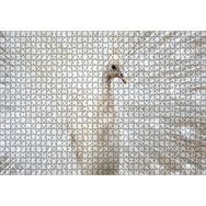 Cakapuzzle Beyaz Tavus Kuşu Görseli 1000 Parça Puzzle