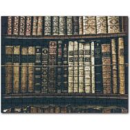 Cakapuzzle Beyaz ve Kırmızı Gelincikler Flu Arkaplan 1000 Parça Puzzle