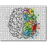 Cakapuzzle Beyin Kıvrımları Sanat ve Bilim Mdf 255 Parça Puzzle