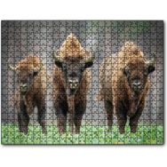 Cakapuzzle Bieszczady Bizonu Görseli Mdf 255 Parça Puzzle