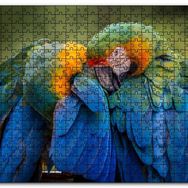 Cakapuzzle Bir Çift Mavi Macaw Papağanı Mdf 255 Parça Puzzle