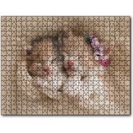 Cakapuzzle Birlikte Uyuyan Sevimli Yavru Kediler 120 Parça Puzzle