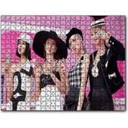 Cakapuzzle Blackpink Üyeleri ve Dondurma Konsepti Mdf 500 Parça Puzzle