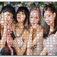 Cakapuzzle Blackpinkten Kızlar Görseli Mdf 255 Parça Puzzle