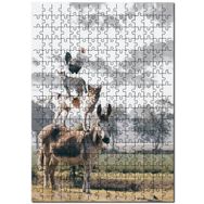 Cakapuzzle Bremen Mızıkacıları ve Bulutlu Gökler Mdf 1000 Parça Puzzle